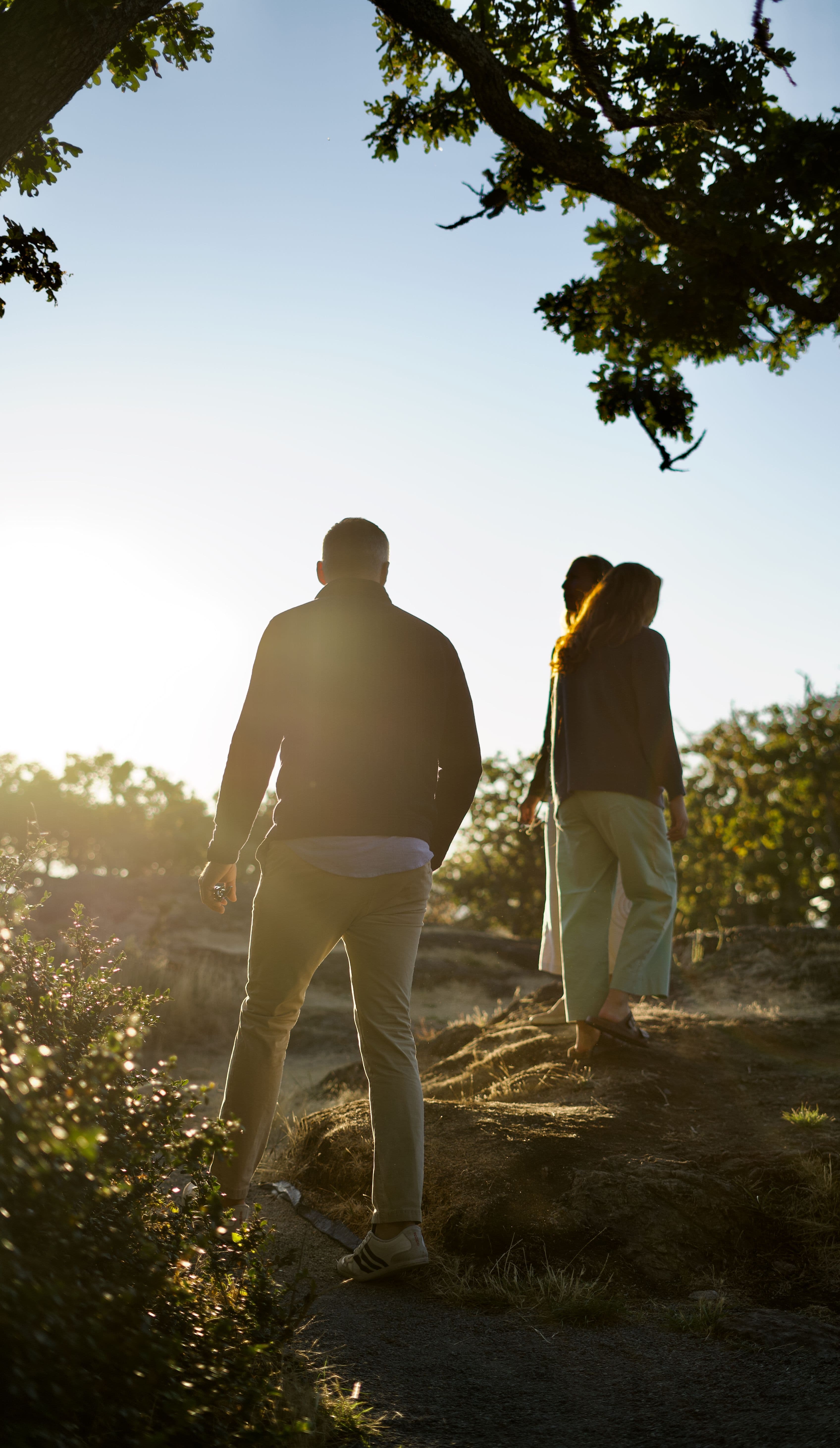 three people walking in nature at sunset